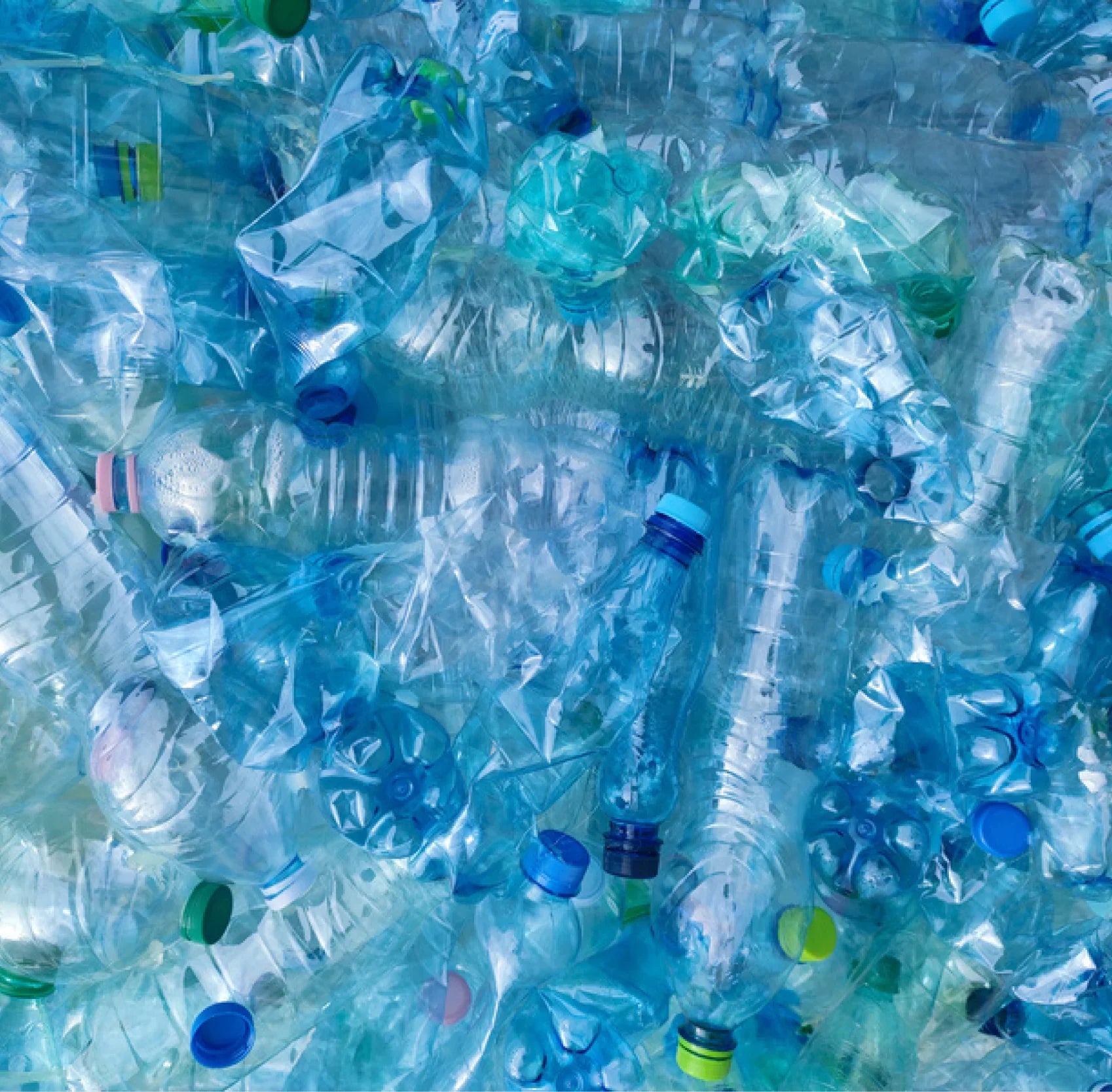 RECYCLED PET BOTTLES